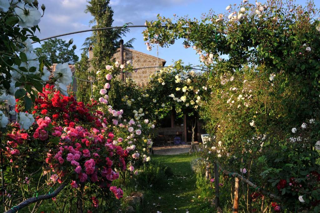 Locanda Ilune Pitigliano Exterior foto